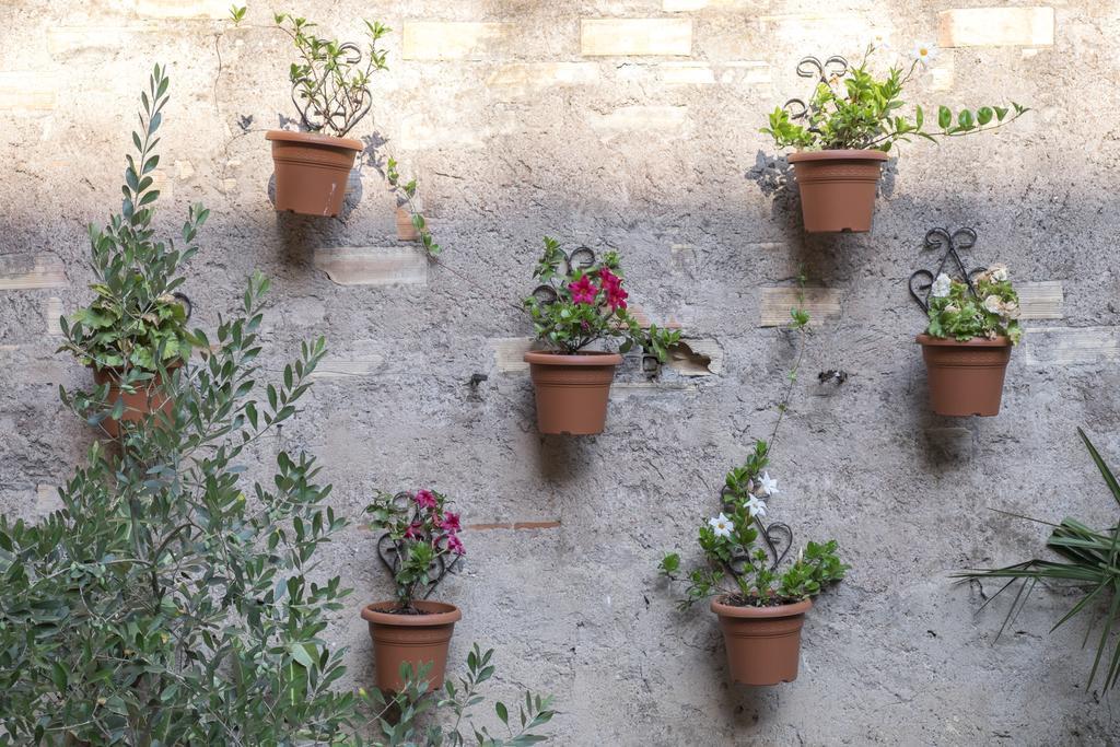 Colosseum Garden ローマ エクステリア 写真